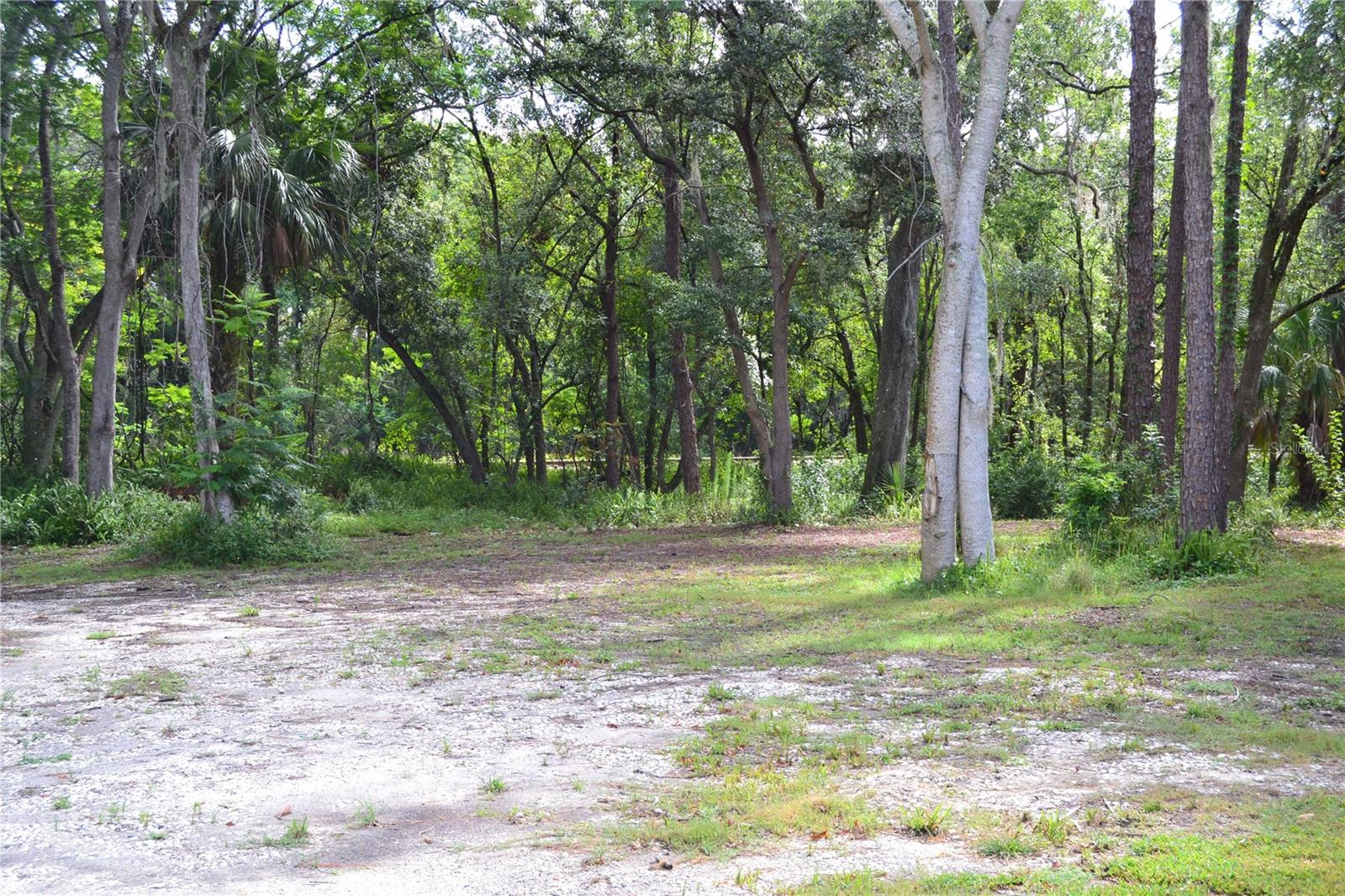U S HWY 542, LAKELAND, FL, 33801