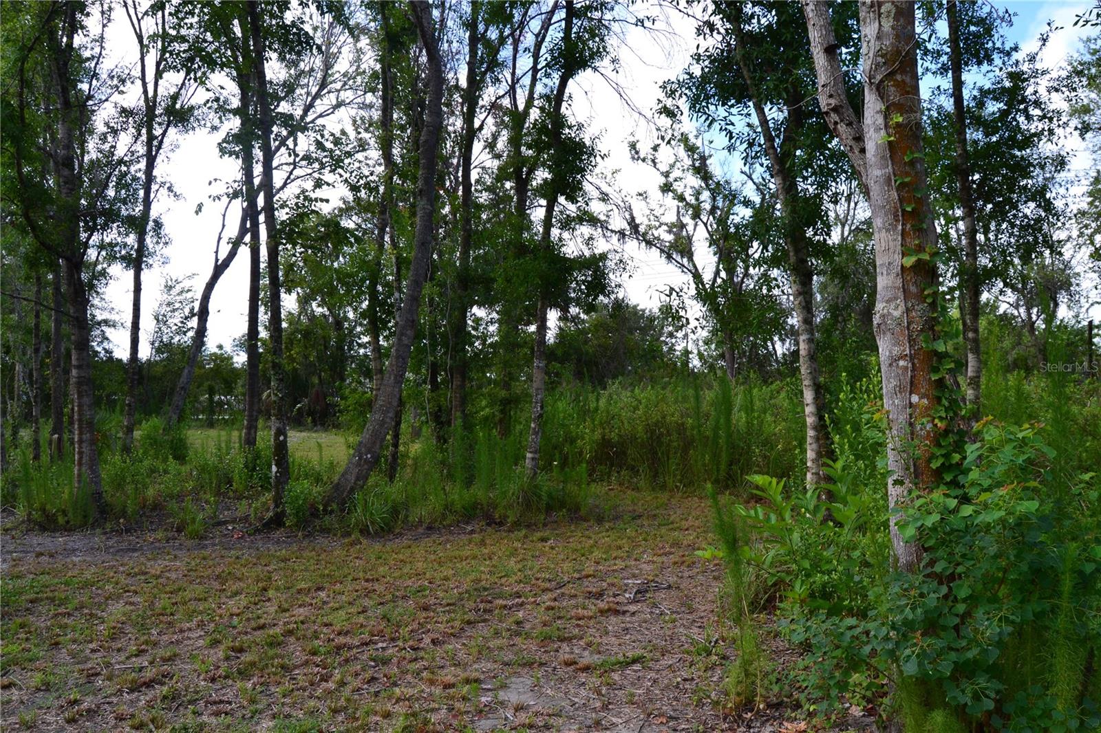 U S HWY 542, LAKELAND, FL, 33801