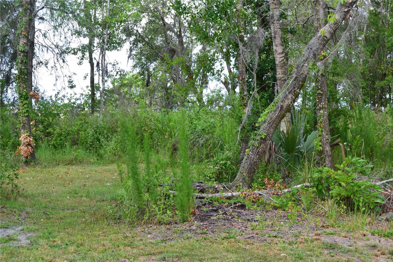 U S HWY 542, LAKELAND, FL, 33801