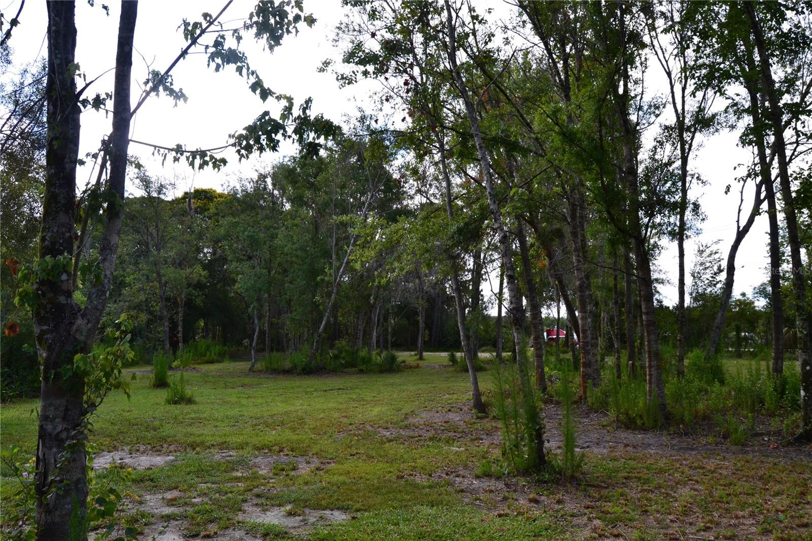 U S HWY 542, LAKELAND, FL, 33801