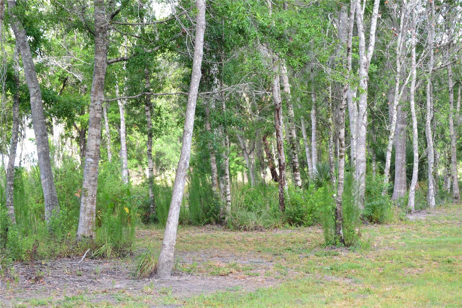 U S HWY 542, LAKELAND, FL, 33801