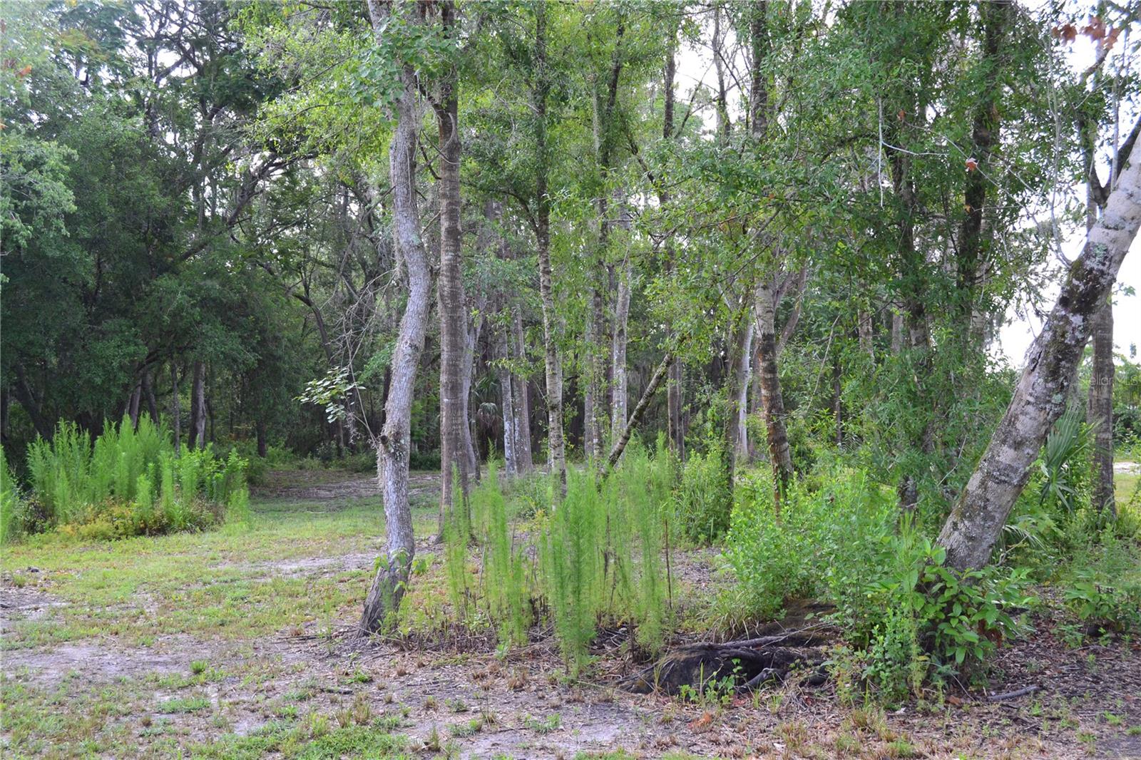 U S HWY 542, LAKELAND, FL, 33801
