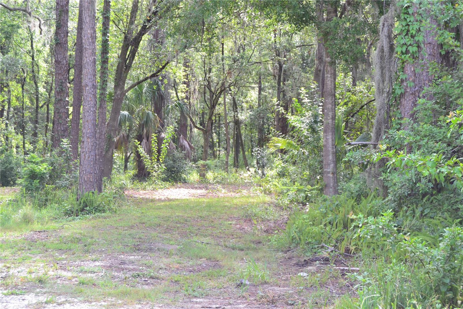 U S HWY 542, LAKELAND, FL, 33801