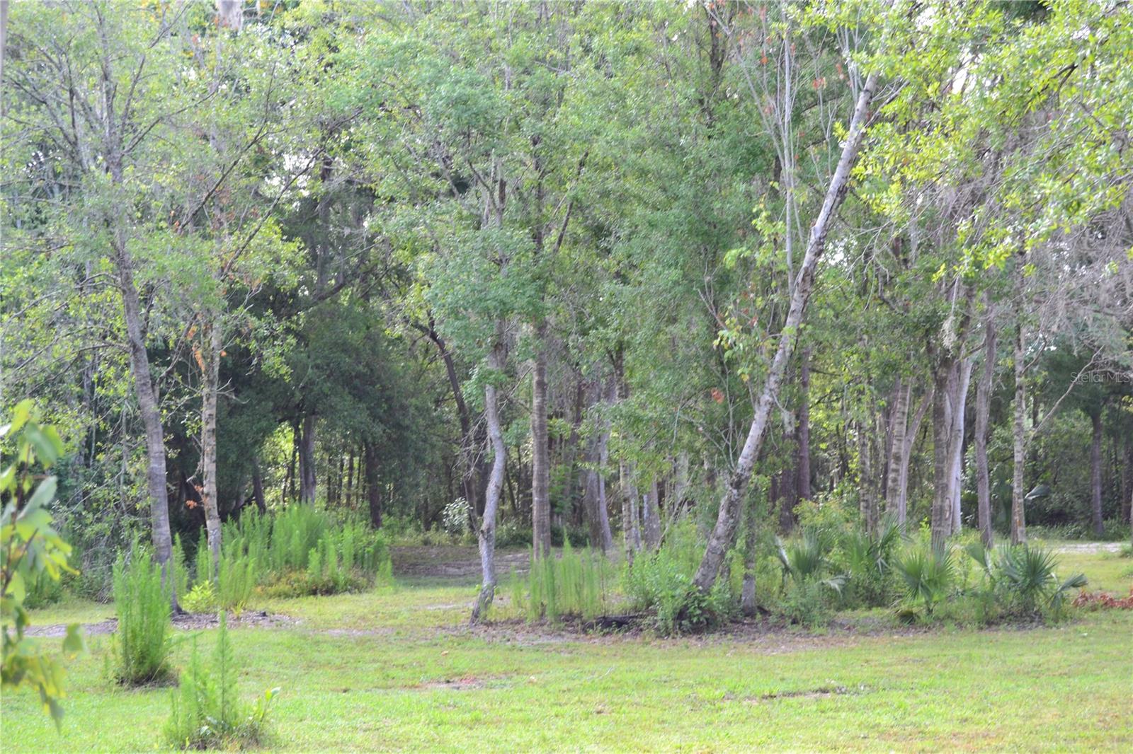 U S HWY 542, LAKELAND, FL, 33801