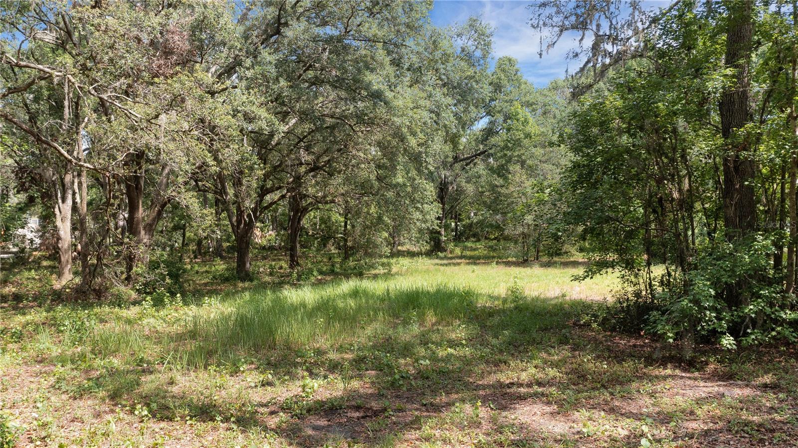 5204 SHEPHERD RD, MULBERRY, FL, 33860