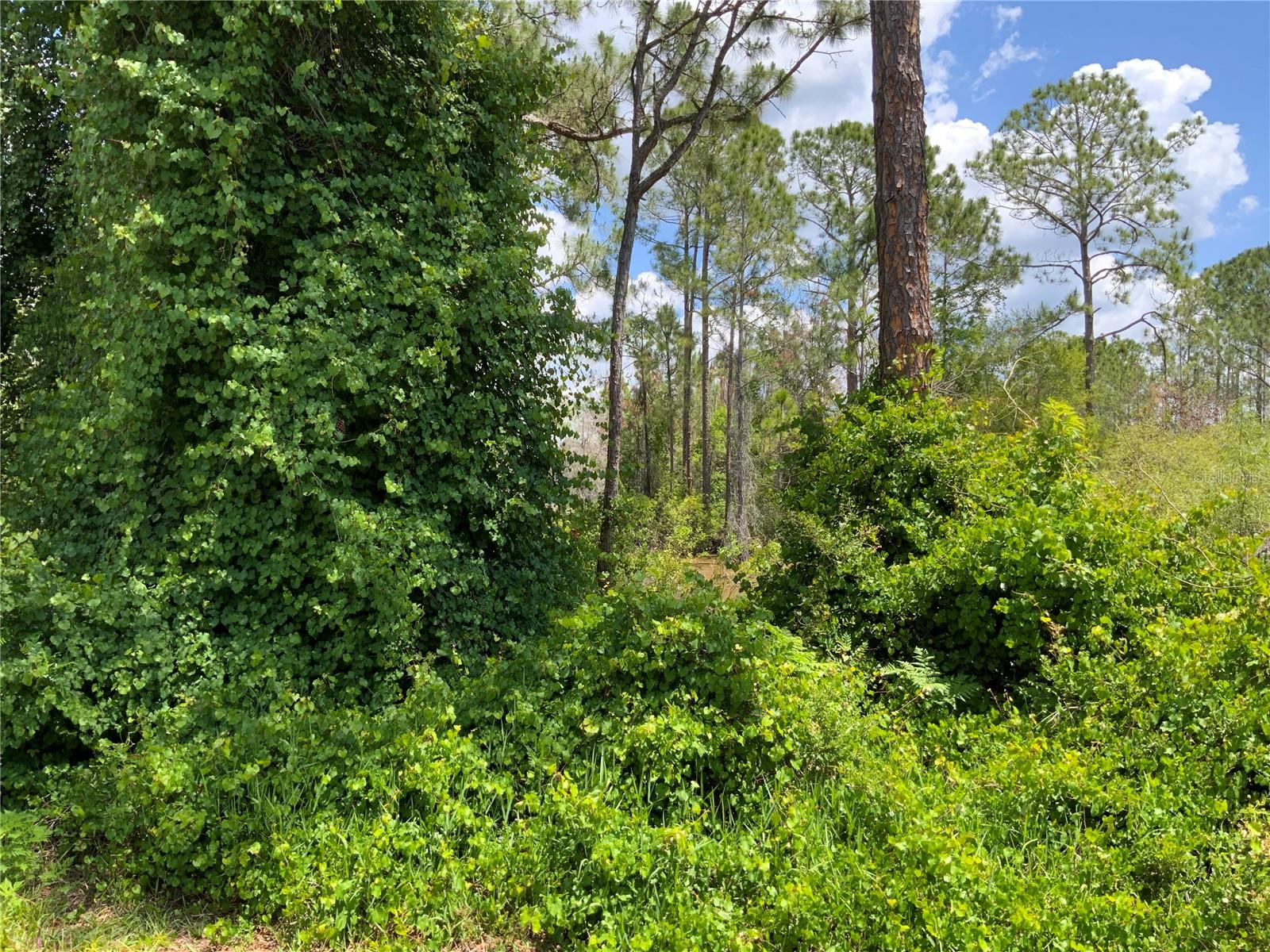 2690 KINGSDALE DR, DELTONA, FL, 32738