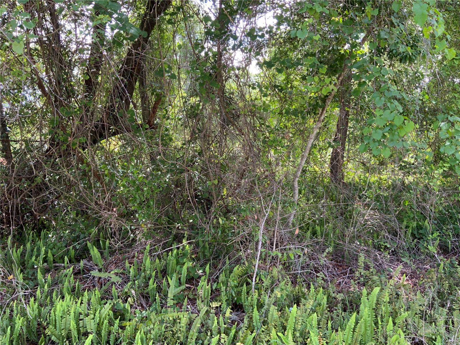 2ND AVE, DELAND, FL, 32724