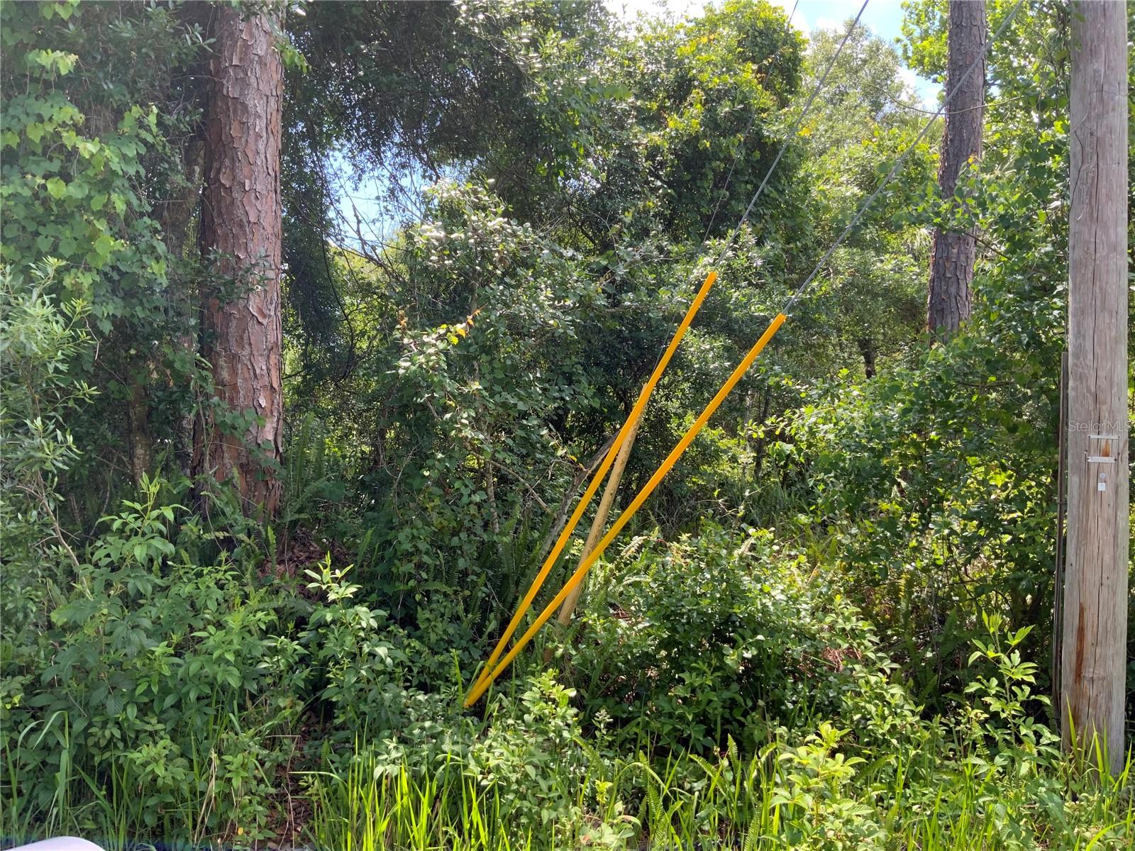 2ND AVE, DELAND, FL, 32724