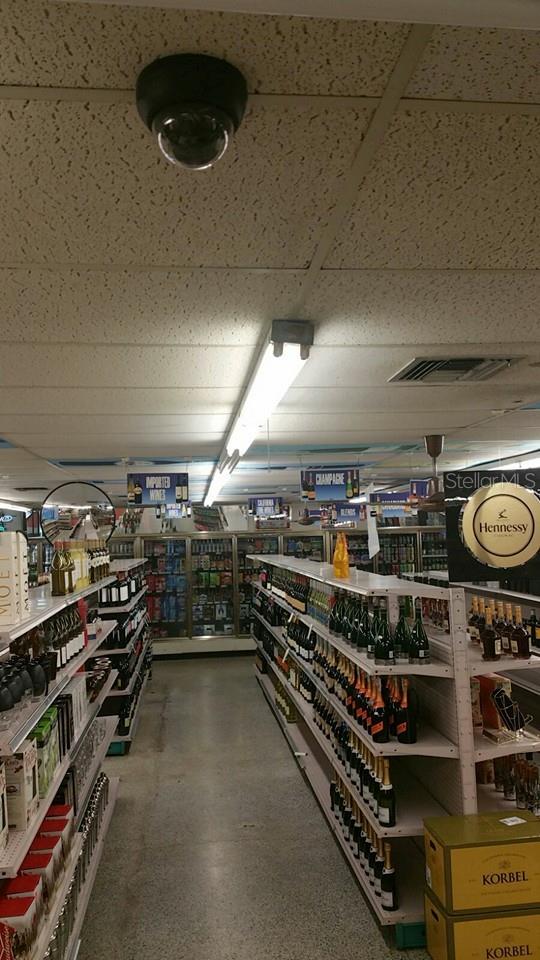 PALM HARBOR, FL, 34683