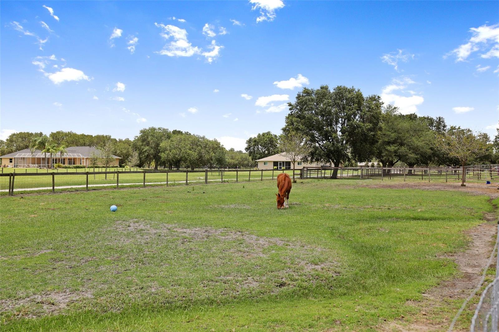 15871 COUNTY ROAD 675, PARRISH, FL, 34219