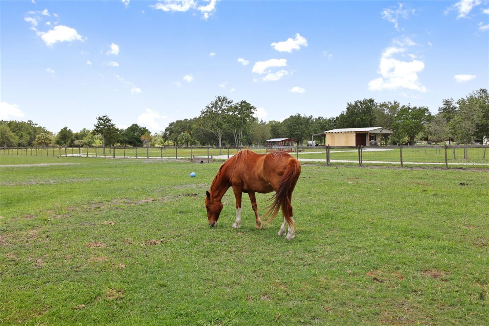 15871 COUNTY ROAD 675, PARRISH, FL, 34219