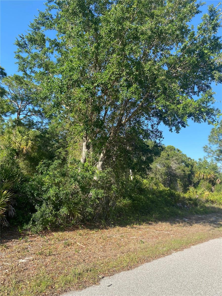 21036 DEARMAN AVE, PORT CHARLOTTE, FL, 33954