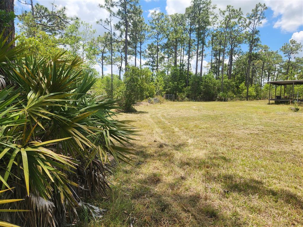 HOLOPAW GROVES RD, ST CLOUD, FL, 34771