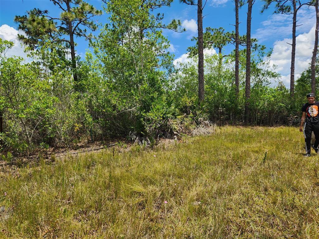 HOLOPAW GROVES RD, ST CLOUD, FL, 34771