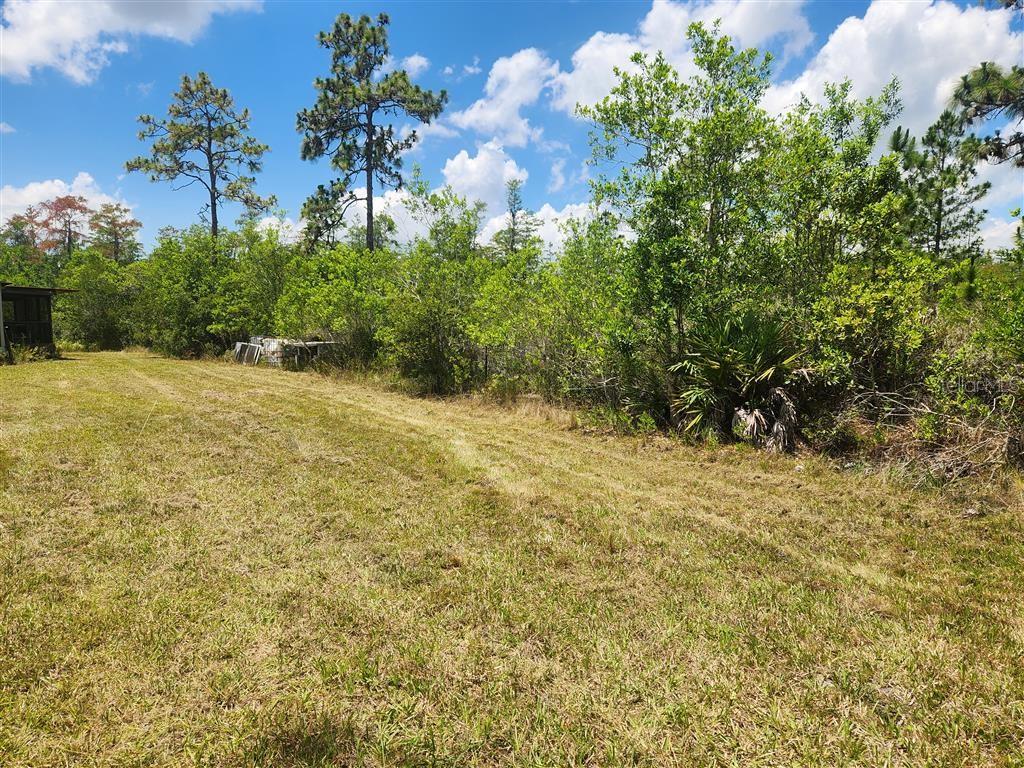 HOLOPAW GROVES RD, ST CLOUD, FL, 34771