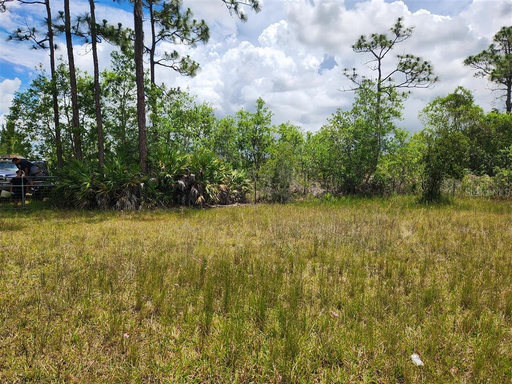 HOLOPAW GROVES RD, ST CLOUD, FL, 34771