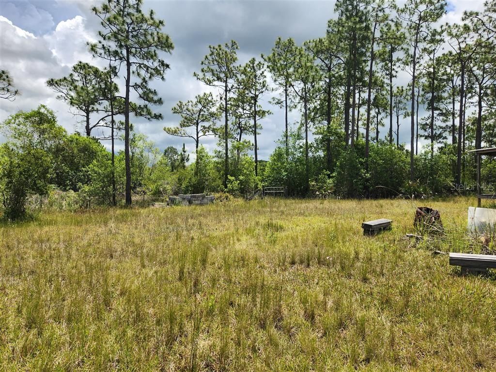 HOLOPAW GROVES RD, ST CLOUD, FL, 34771