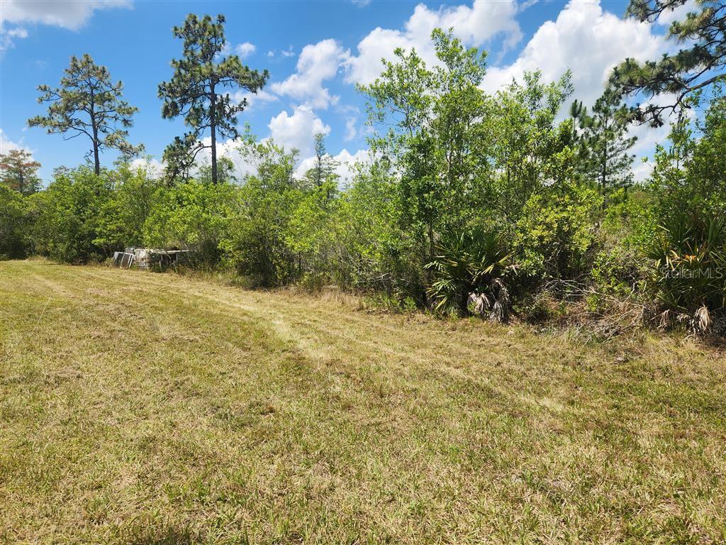 HOLOPAW GROVES RD, ST CLOUD, FL, 34771