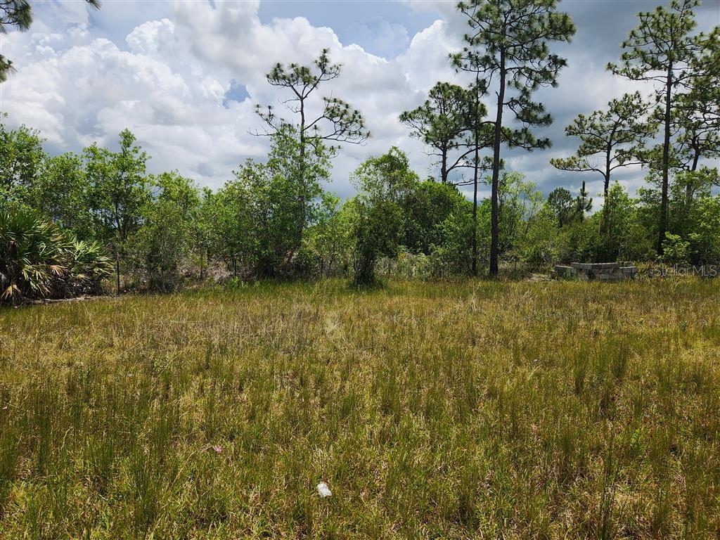 HOLOPAW GROVES RD, ST CLOUD, FL, 34771