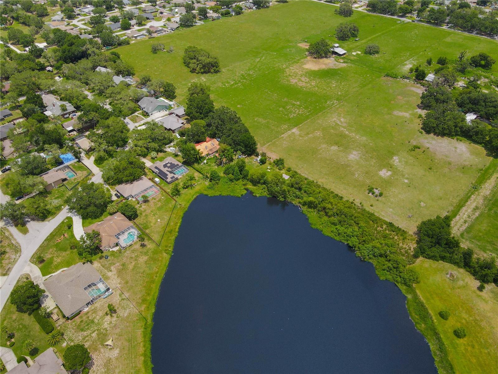 1235 ODONIEL LOOP S, LAKELAND, FL, 33809