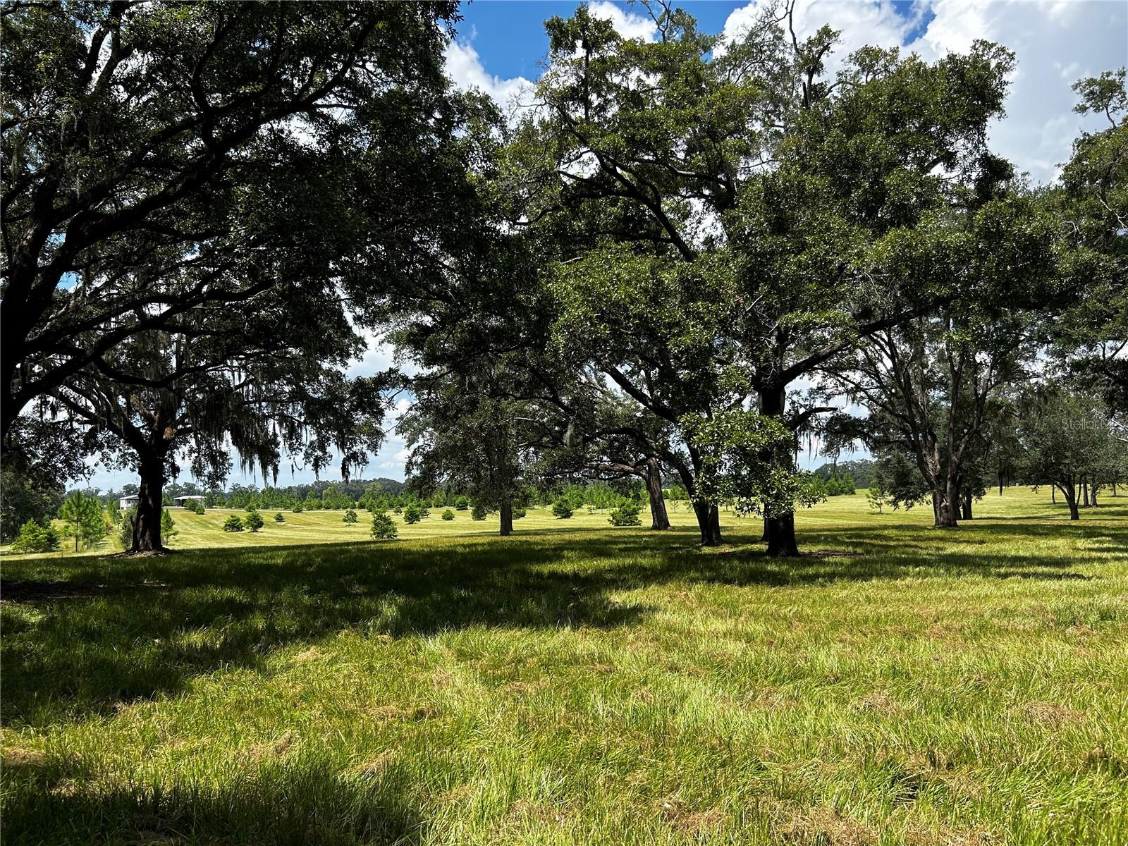 16470 N US HIGHWAY 27, WILLISTON, FL, 32696