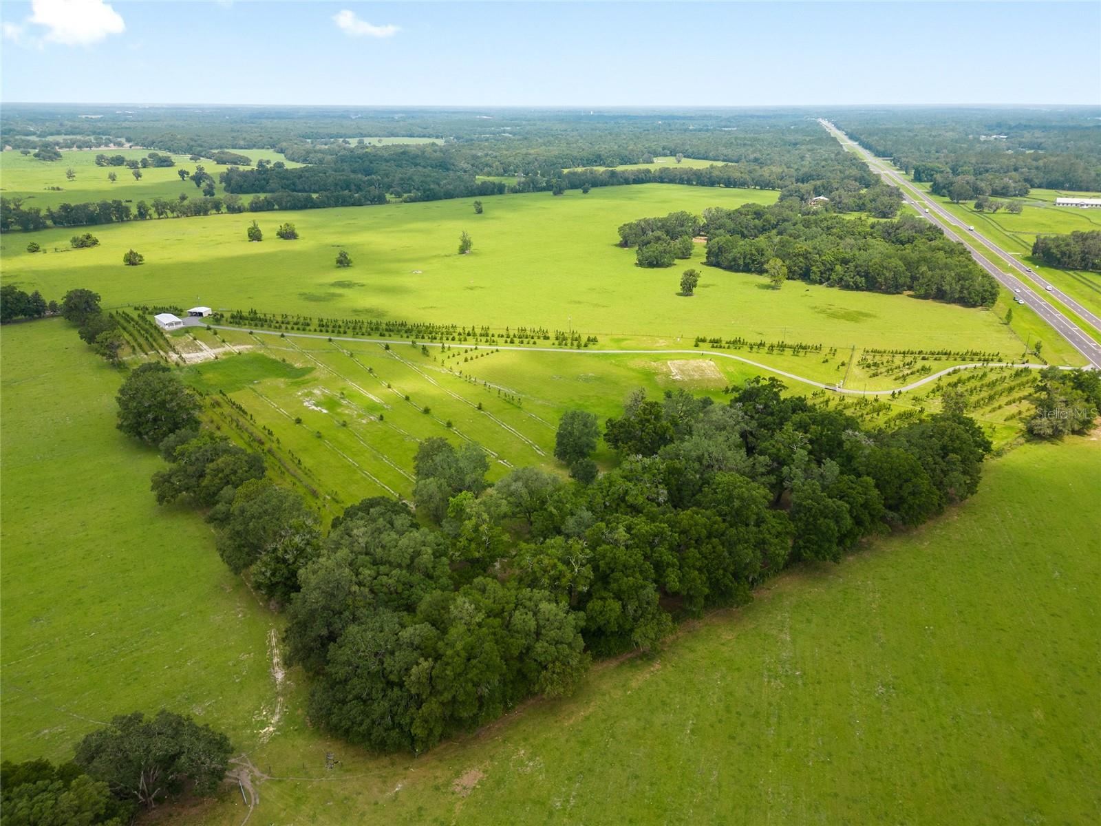 16470 N US HIGHWAY 27, WILLISTON, FL, 32696