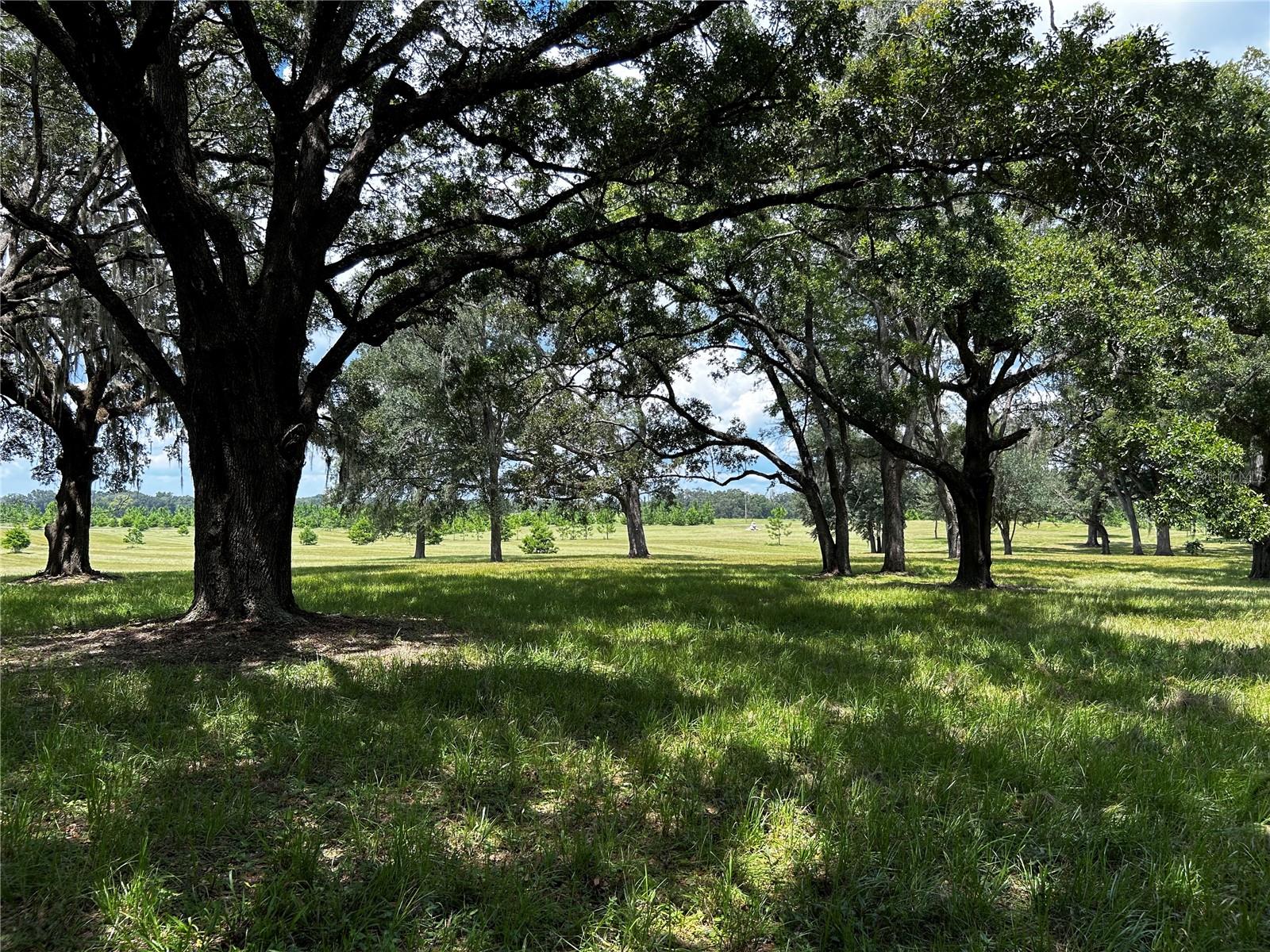 16470 N US HIGHWAY 27, WILLISTON, FL, 32696