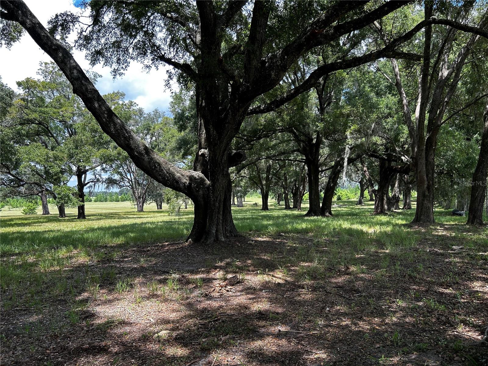 16470 N US HIGHWAY 27, WILLISTON, FL, 32696