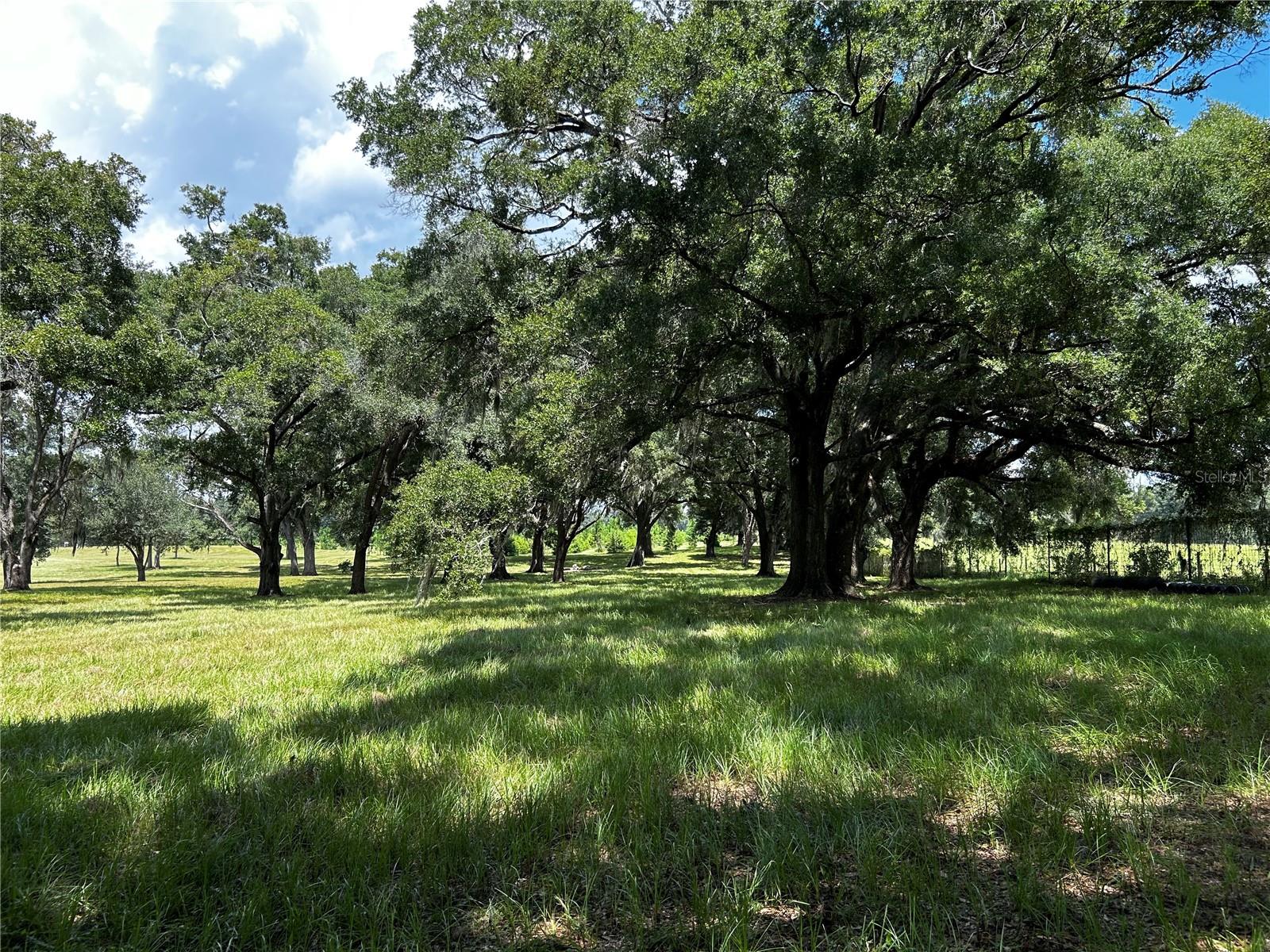 16470 N US HIGHWAY 27, WILLISTON, FL, 32696