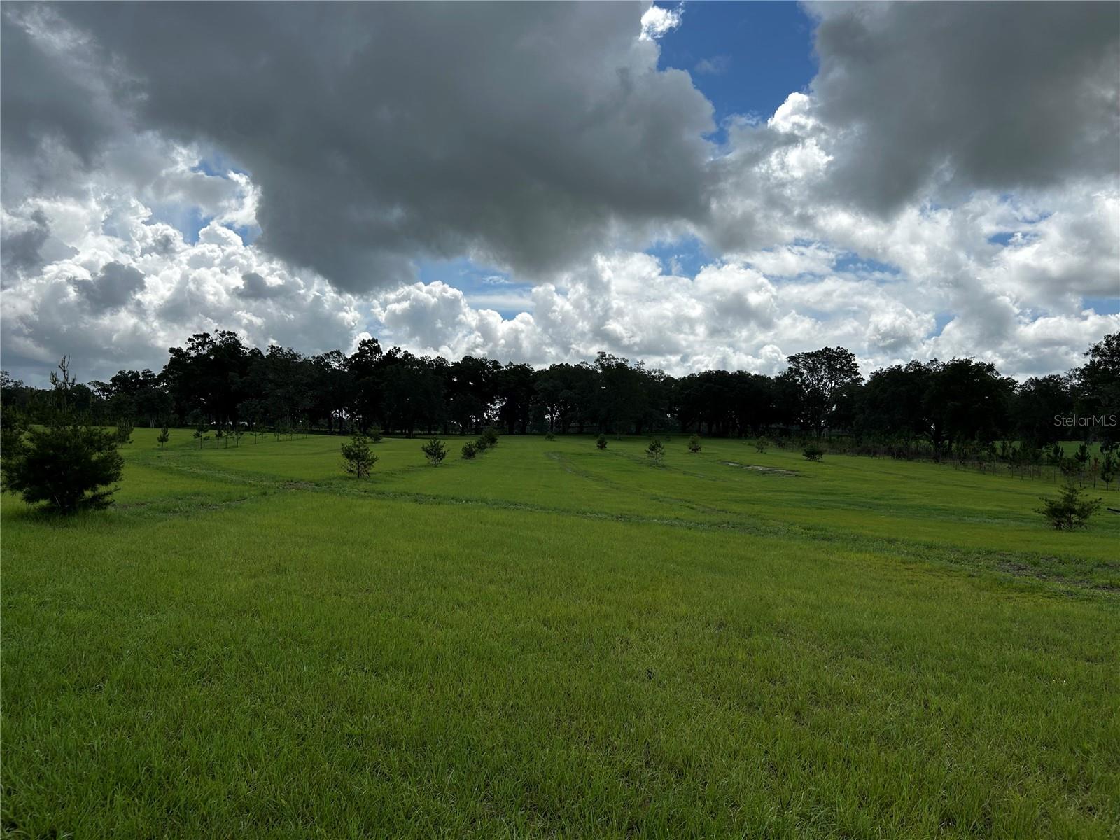 16470 N US HIGHWAY 27, WILLISTON, FL, 32696