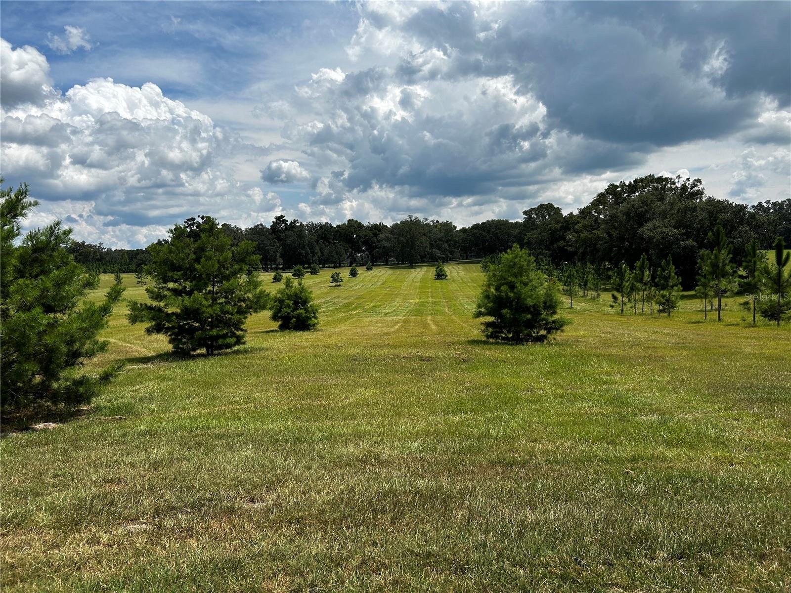 16470 N US HIGHWAY 27, WILLISTON, FL, 32696