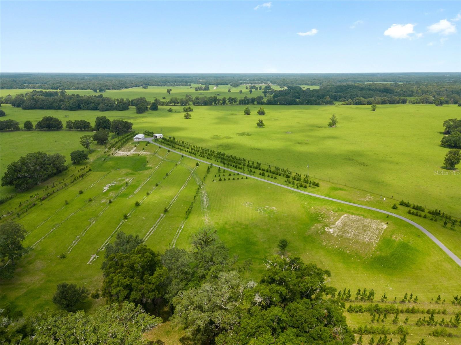 16470 N US HIGHWAY 27, WILLISTON, FL, 32696