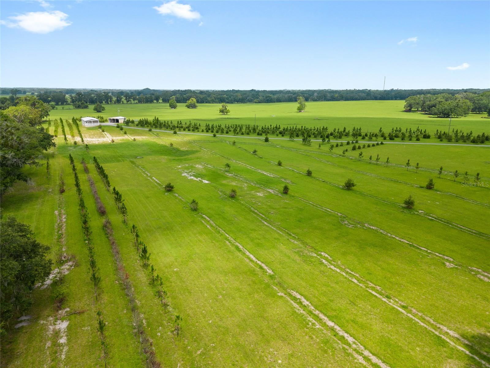 16470 N US HIGHWAY 27, WILLISTON, FL, 32696