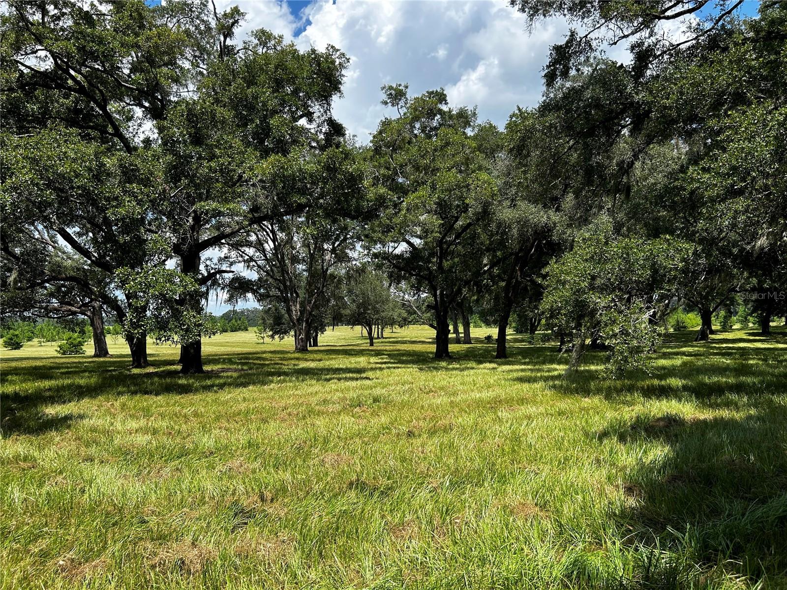 16470 N US HIGHWAY 27, WILLISTON, FL, 32696