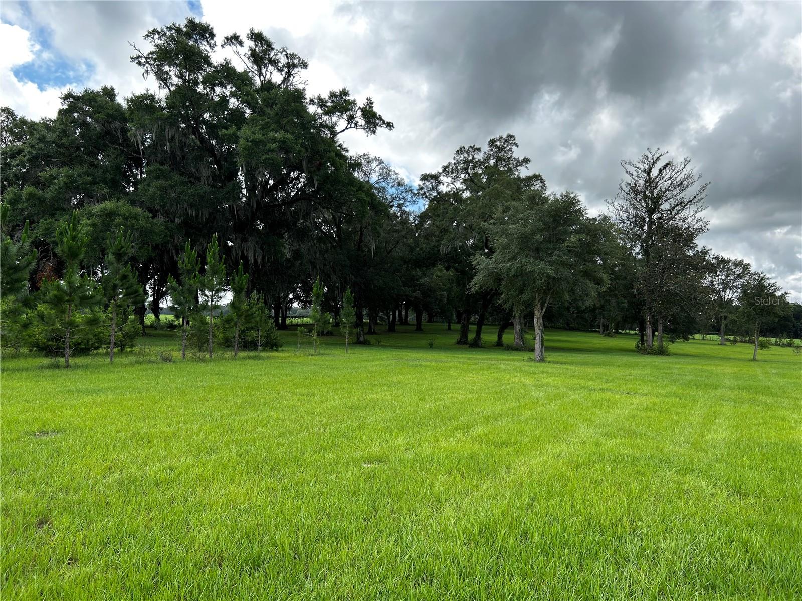 16470 N US HIGHWAY 27, WILLISTON, FL, 32696