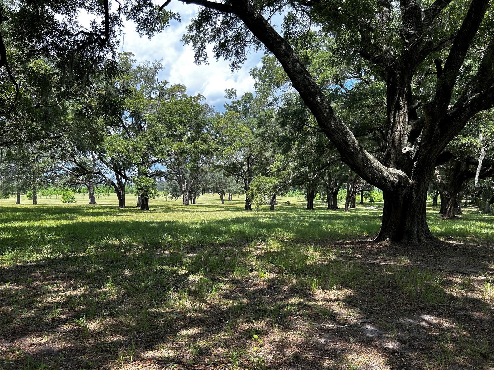 16470 N US HIGHWAY 27, WILLISTON, FL, 32696