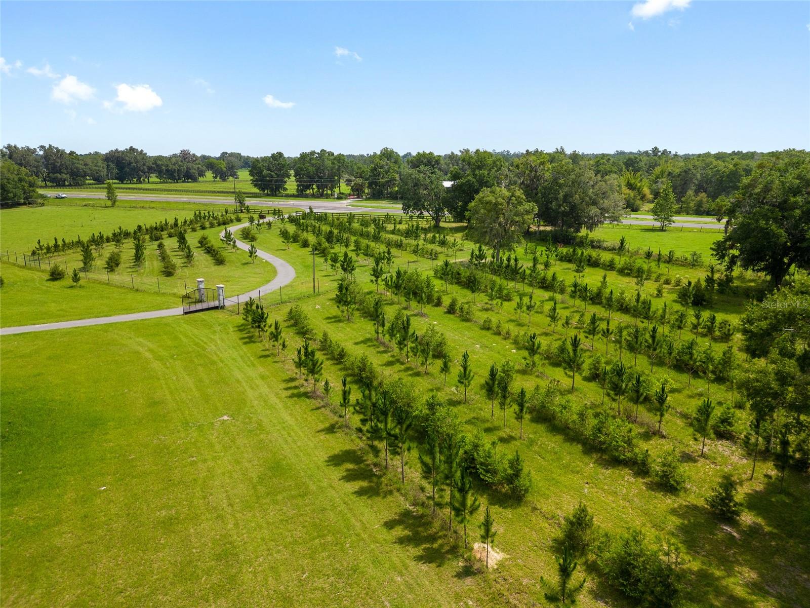 16470 N US HIGHWAY 27, WILLISTON, FL, 32696