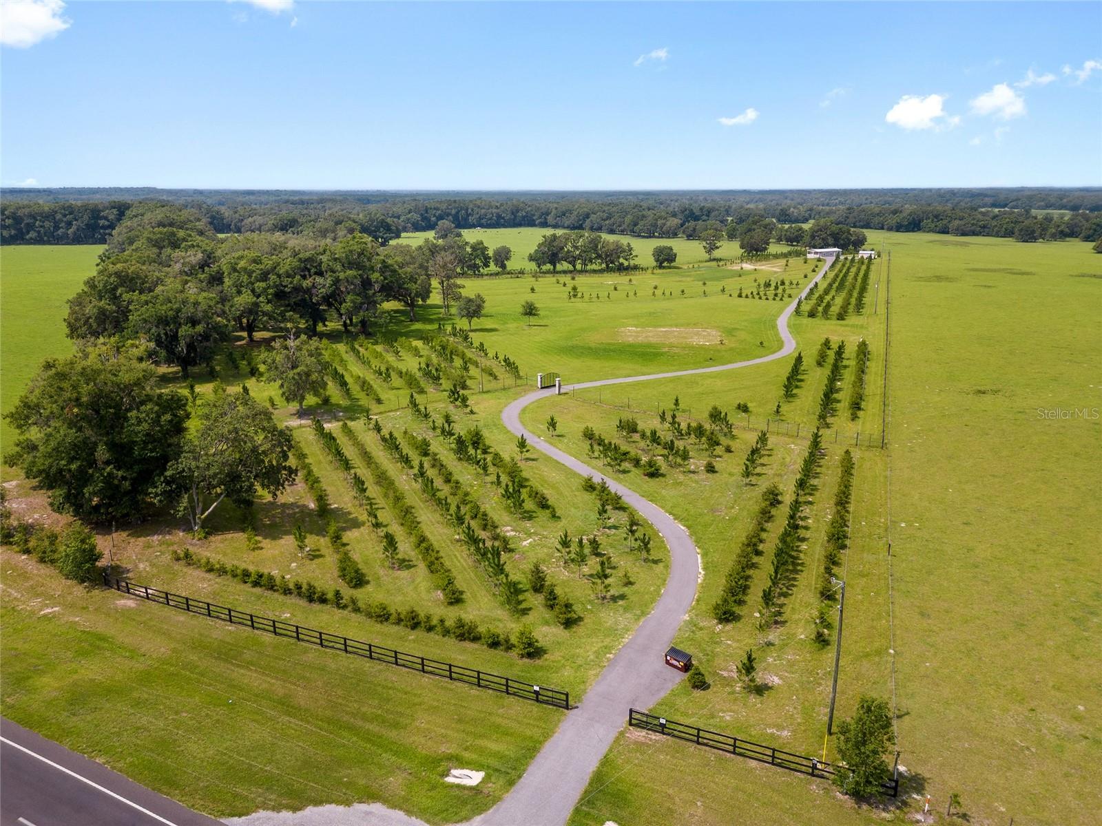 16470 N US HIGHWAY 27, WILLISTON, FL, 32696