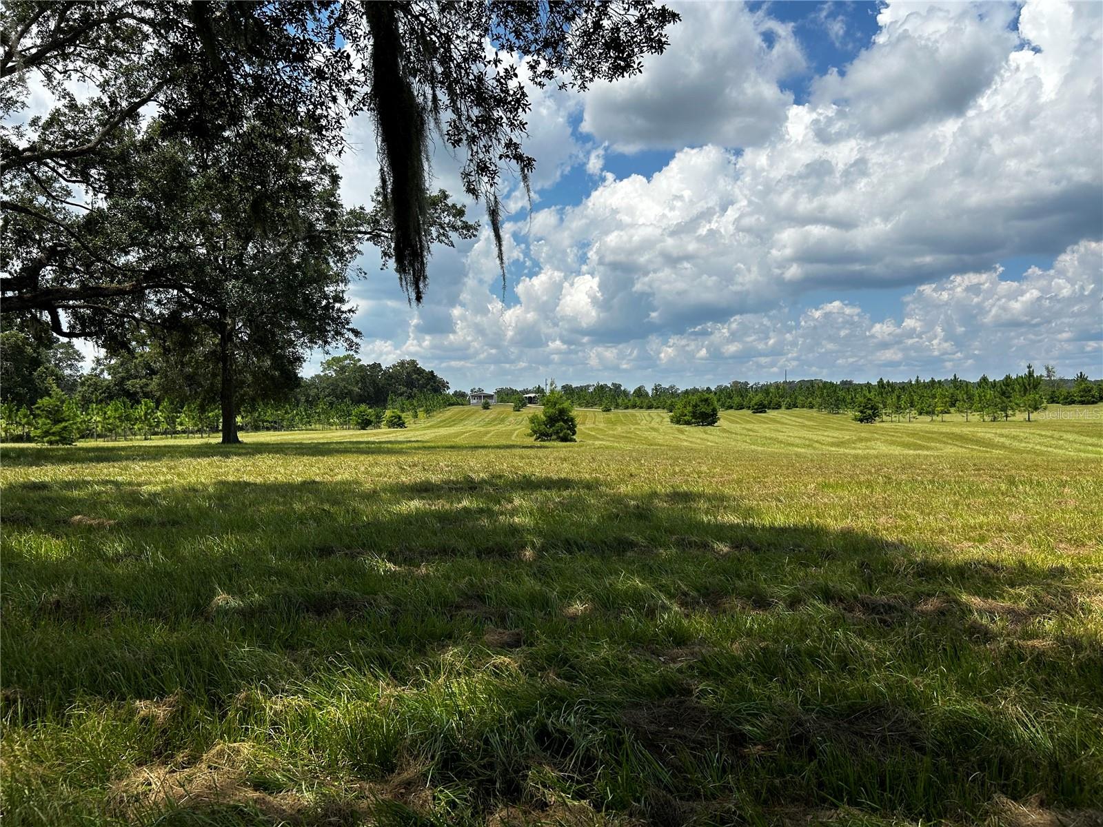 16470 N US HIGHWAY 27, WILLISTON, FL, 32696