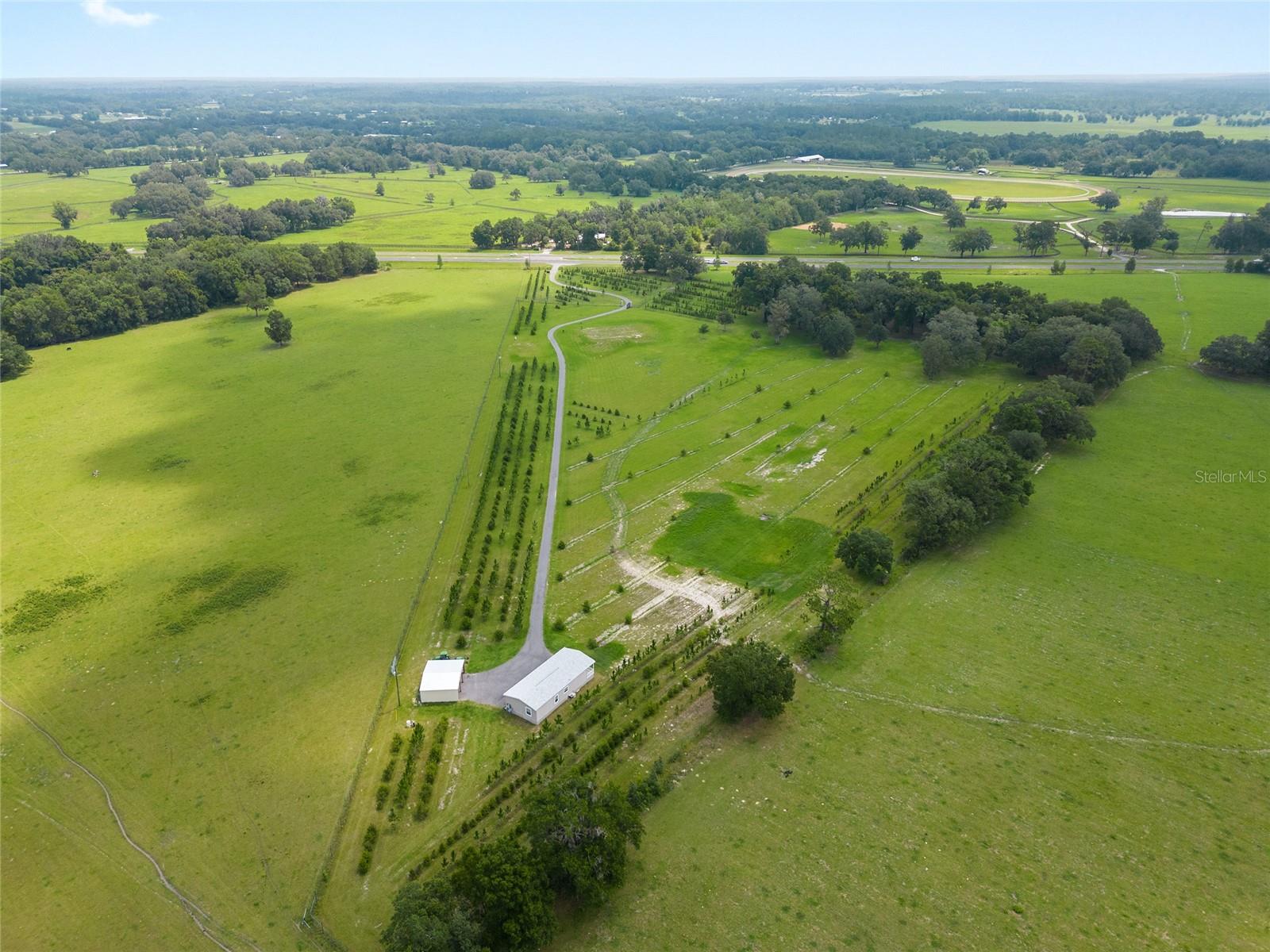16470 N US HIGHWAY 27, WILLISTON, FL, 32696