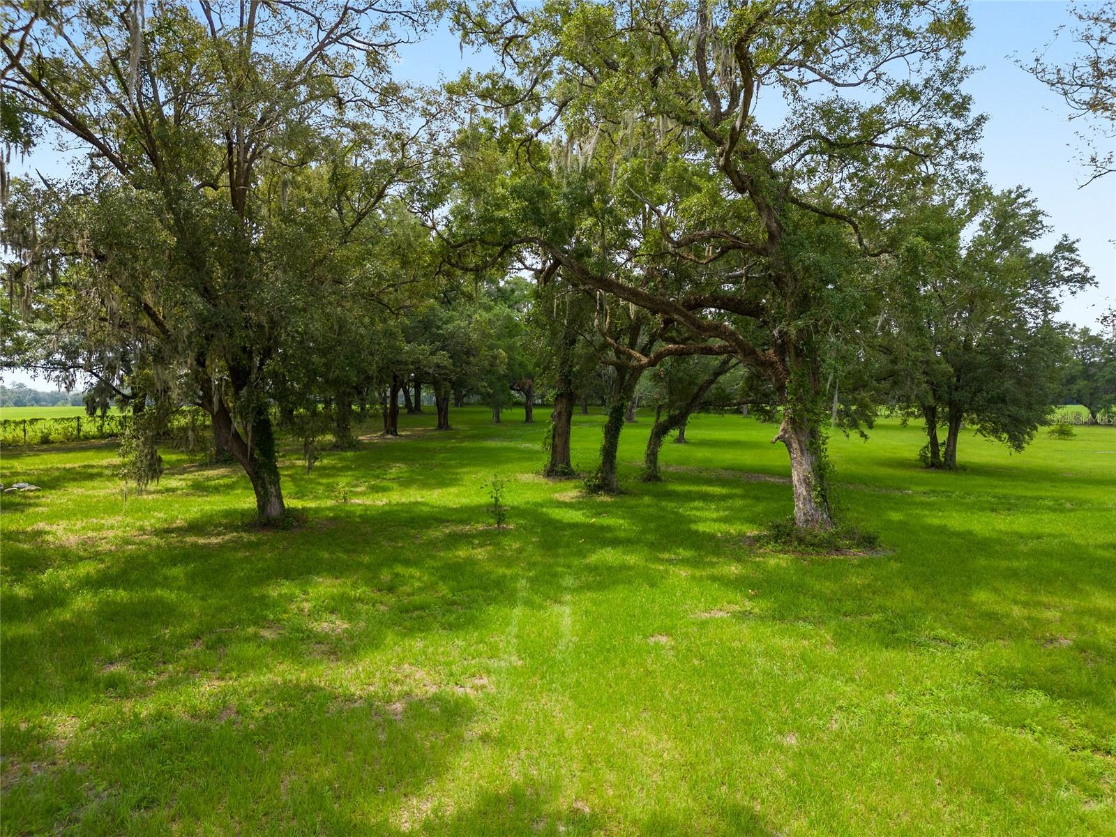 16470 N US HIGHWAY 27, WILLISTON, FL, 32696