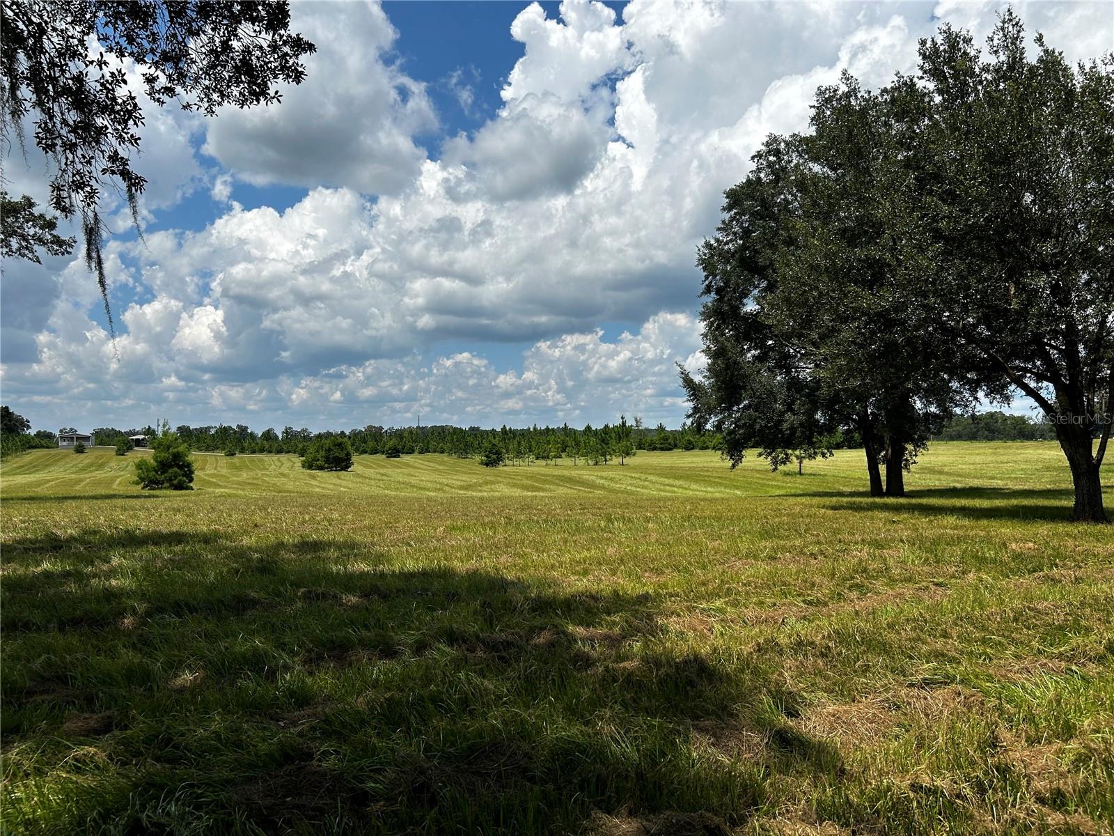 16470 N US HIGHWAY 27, WILLISTON, FL, 32696