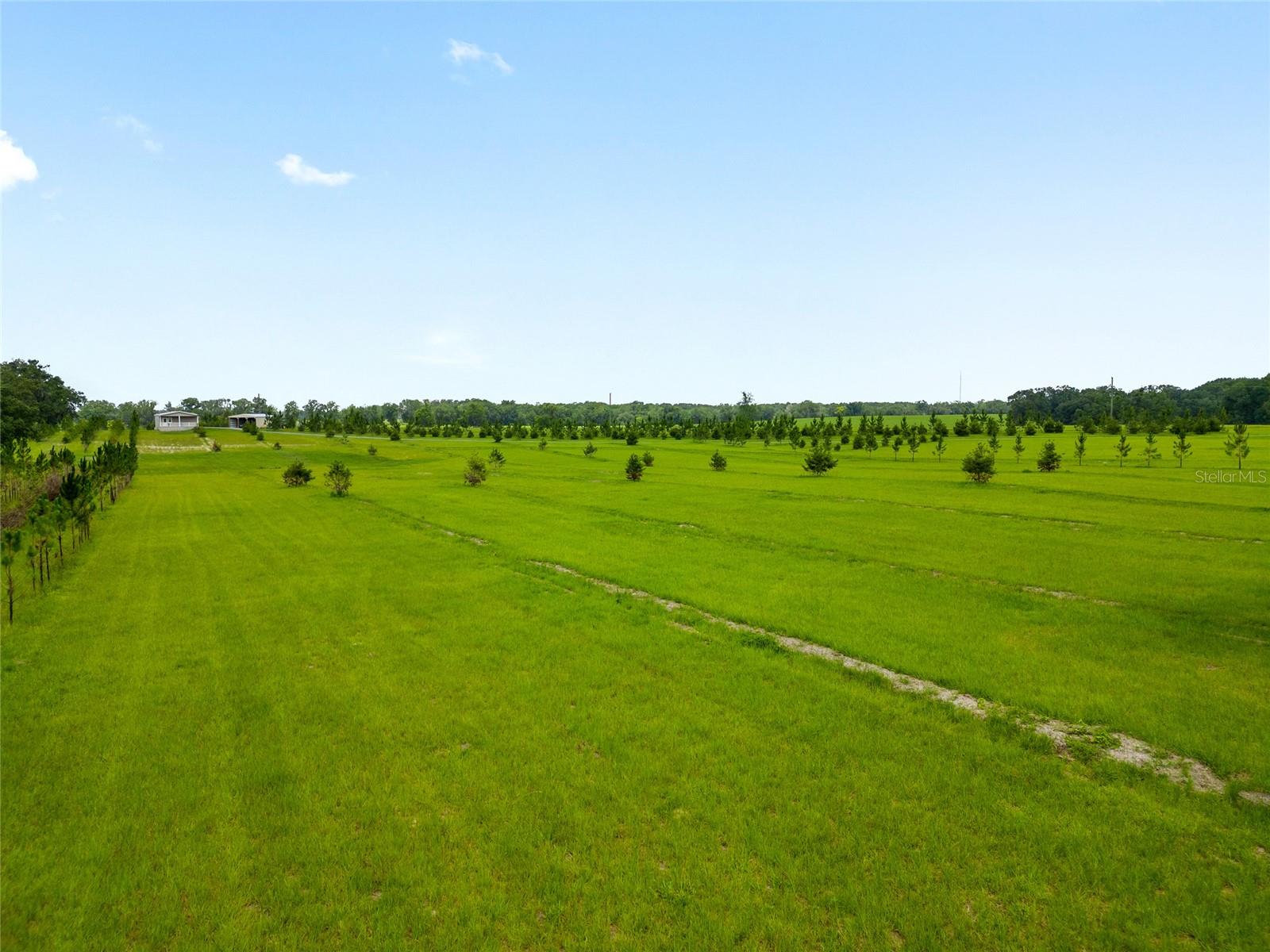 16470 N US HIGHWAY 27, WILLISTON, FL, 32696