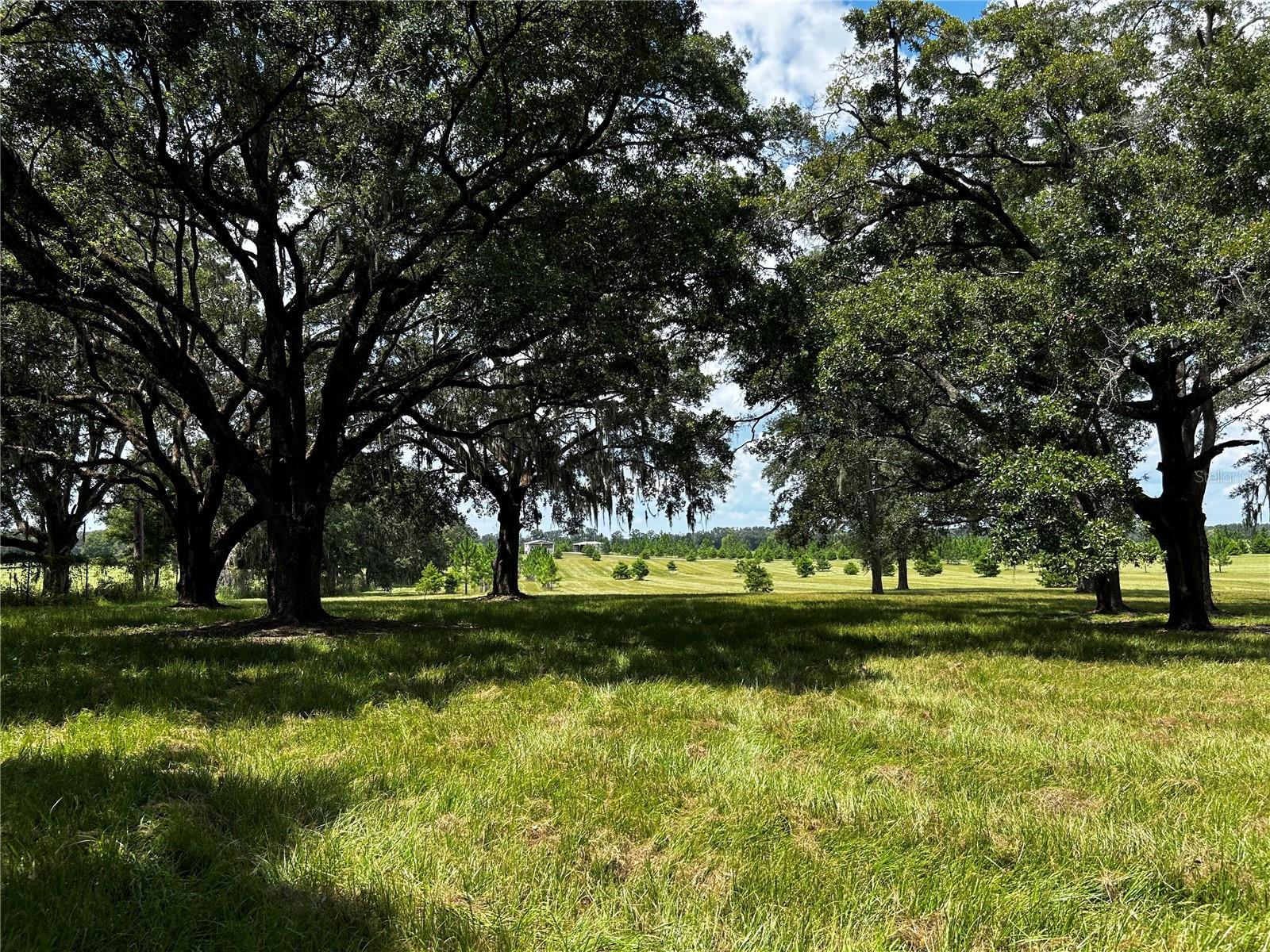 16470 N US HIGHWAY 27, WILLISTON, FL, 32696