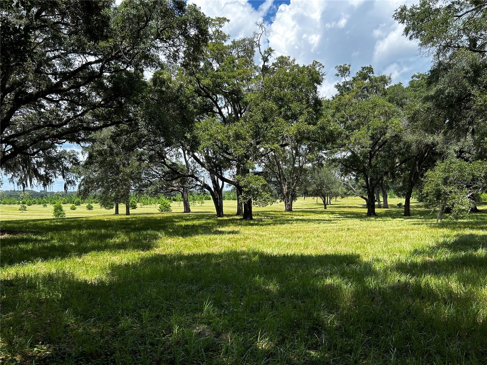 16470 N US HIGHWAY 27, WILLISTON, FL, 32696