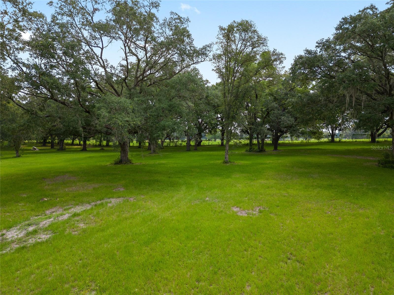 16470 N US HIGHWAY 27, WILLISTON, FL, 32696