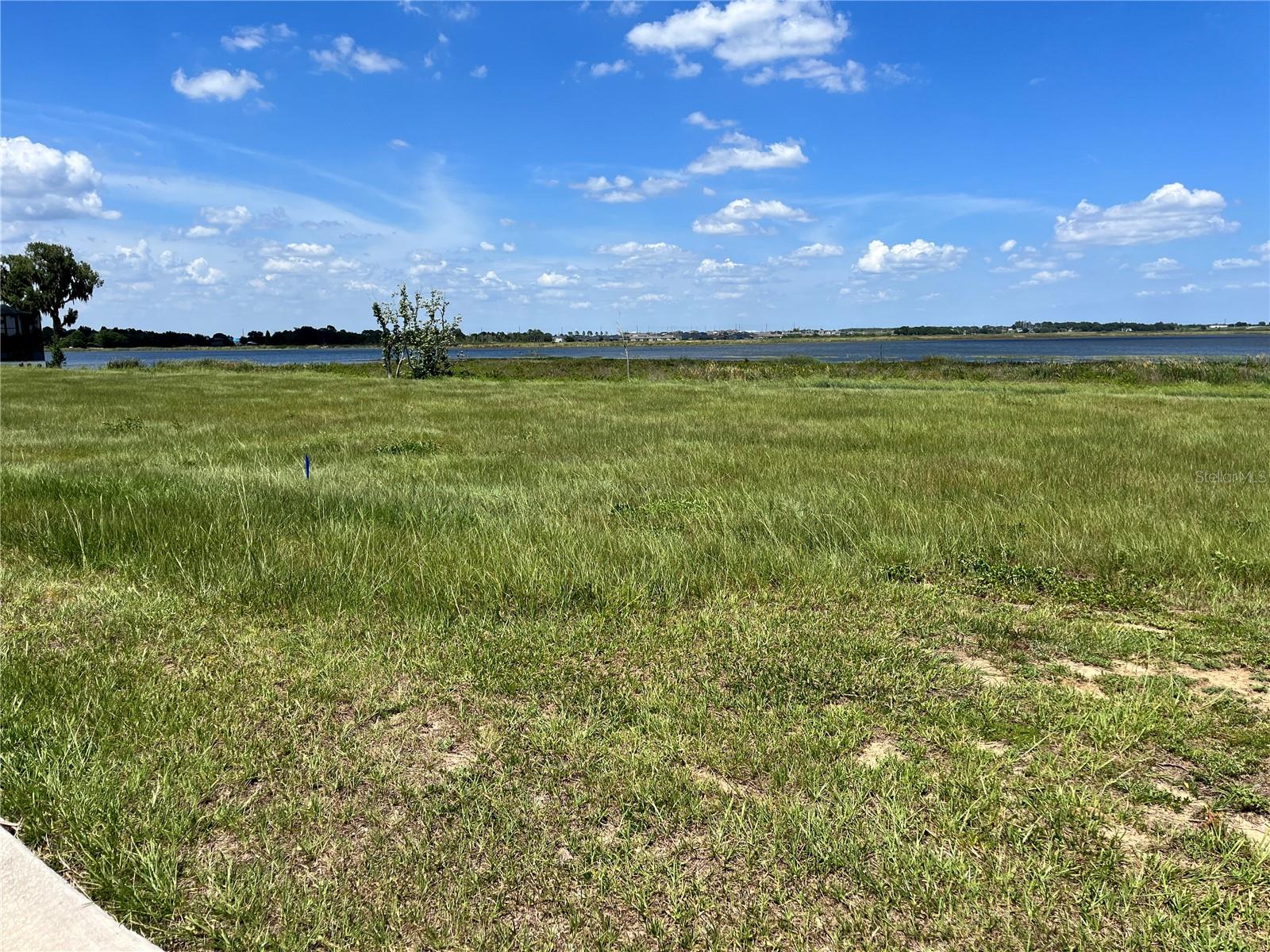 344 CALADIUM AVE, LAKE ALFRED, FL, 33850