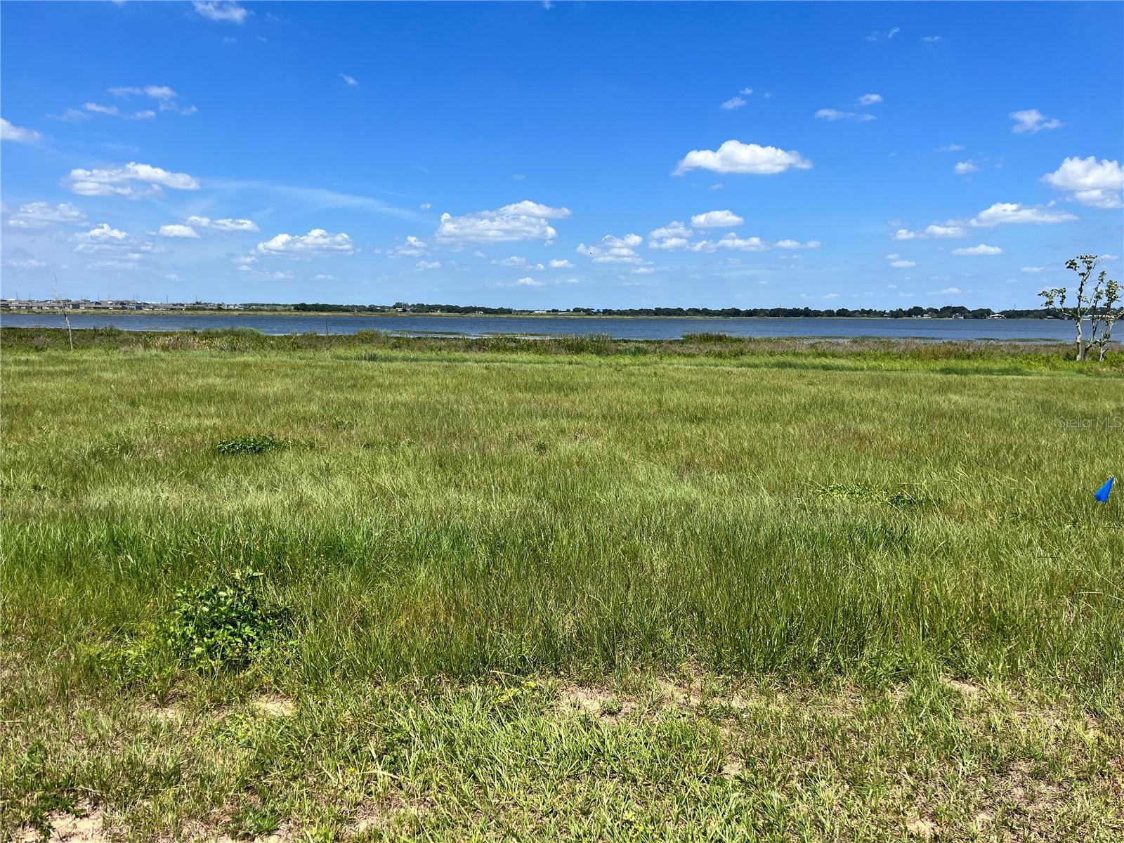 344 CALADIUM AVE, LAKE ALFRED, FL, 33850