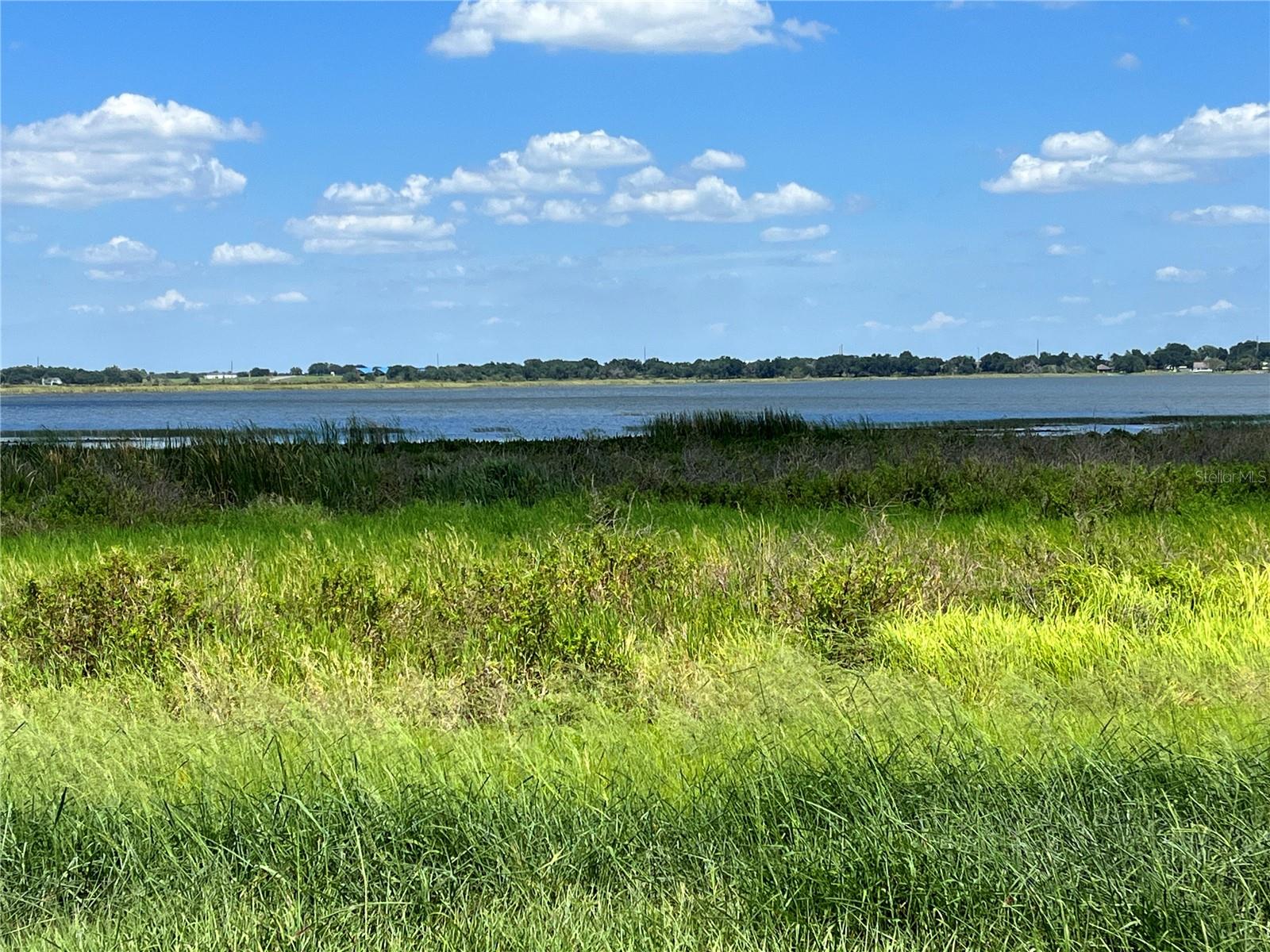 344 CALADIUM AVE, LAKE ALFRED, FL, 33850