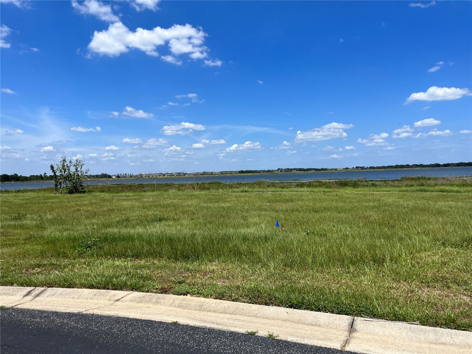 344 CALADIUM AVE, LAKE ALFRED, FL, 33850